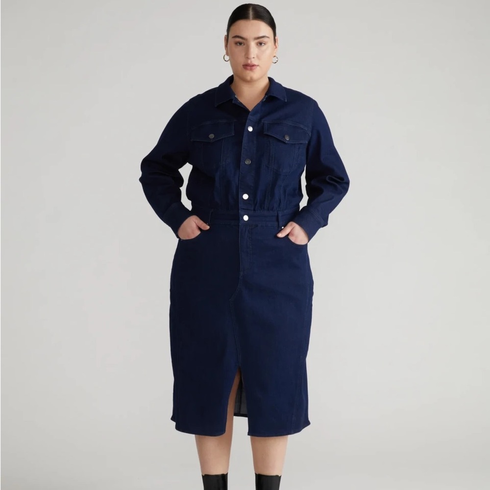 Universal Standard Size M (18-20) Dakota denim dress